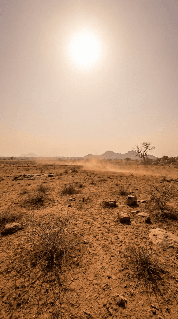Dry, degraded land