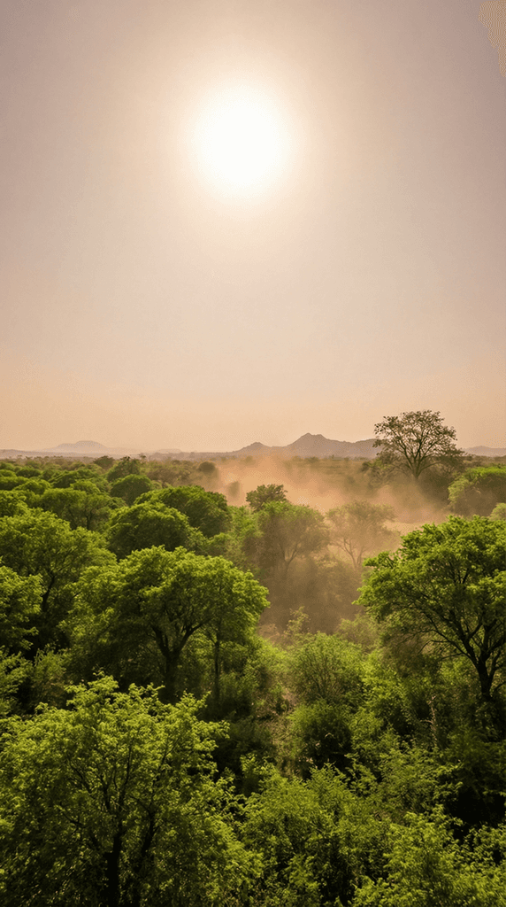 Restored native forest